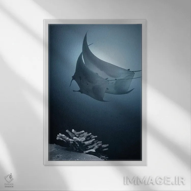 تابلو دکوراتیو سوناتا اثر آندری نارچوک - نمای قابدار سفید