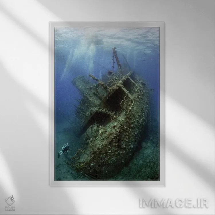 تابلو دکوراتیو لاشه یانیس د. اثر درای ون بیک - نمای قابدار سفید