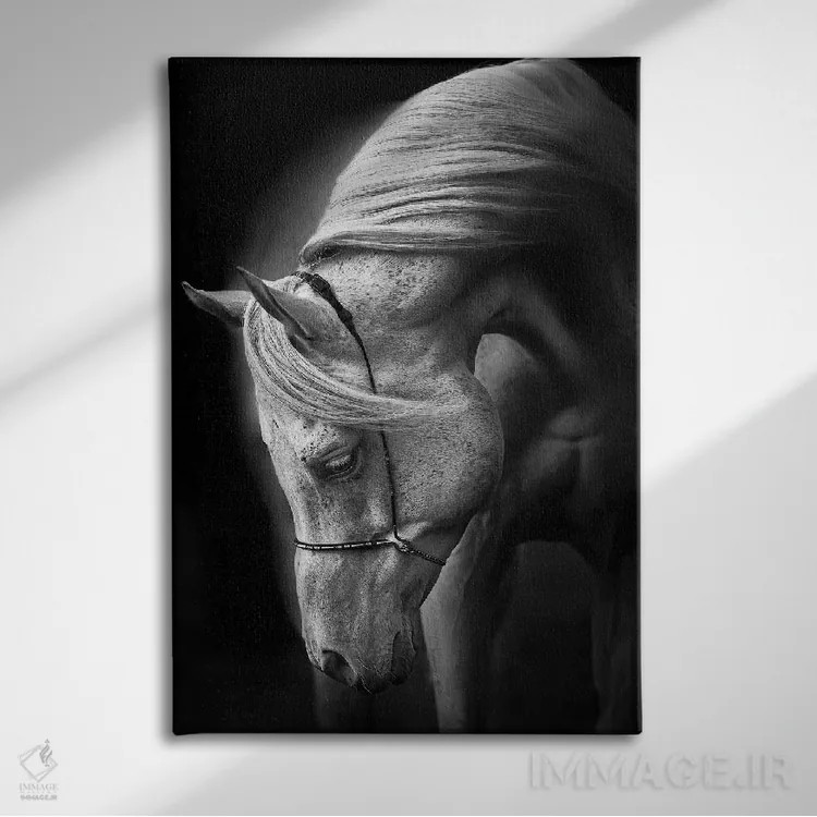 تابلو دکوراتیو اسب سفید اثر اولریکه لاینمان - نمای روبهرو روی دیوار