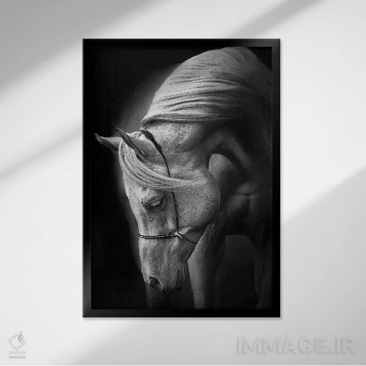 تابلو دکوراتیو اسب سفید اثر اولریکه لاینمان - نمای قابدار مشکی