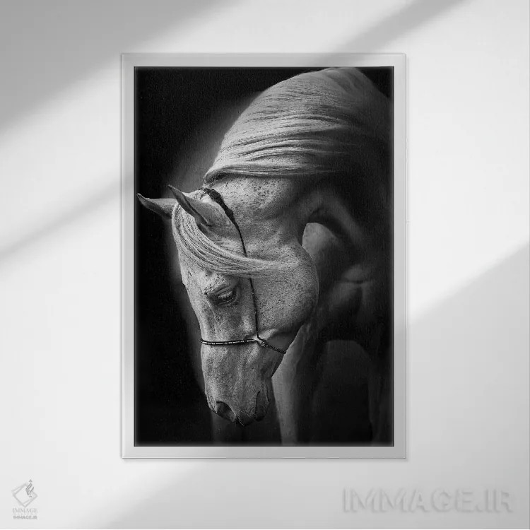 تابلو دکوراتیو اسب سفید اثر اولریکه لاینمان - نمای قابدار سفید