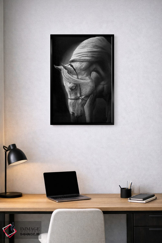 تابلو دکوراتیو اسب سفید اثر اولریکه لاینمان - D3B