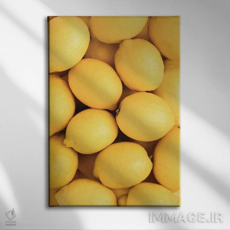 تابلو دکوراتیو لیمو ۳ اثر استودیو ۱ایکس ۲ - نمای روبهرو روی دیوار