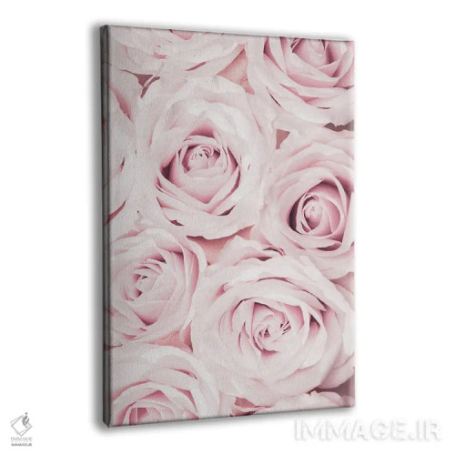 تابلو دکوراتیو گل های رز صورتی شماره ۰۲ اثر استودیو ۱ایکس ۳ - نمای پرسپکتیو محصول