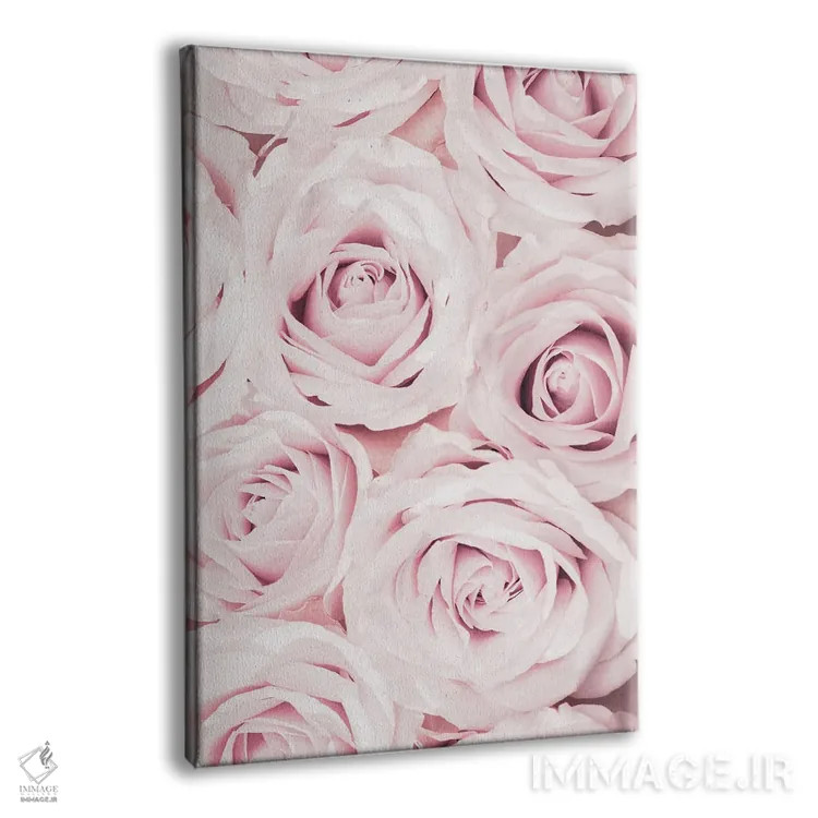 تابلو دکوراتیو گل های رز صورتی شماره ۰۲ اثر استودیو ۱ایکس ۳ - نمای پرسپکتیو محصول