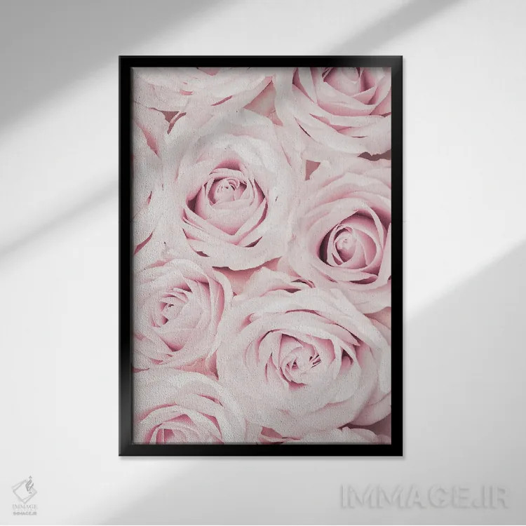 تابلو دکوراتیو گل های رز صورتی شماره ۰۲ اثر استودیو ۱ایکس ۳ - نمای قابدار مشکی