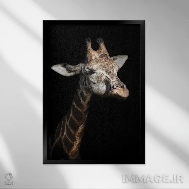 تابلو دکوراتیو زرافه در نور کم اثر هلنا گارسیا - نمای قابدار مشکی