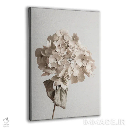 تابلو دکوراتیو گل خشک بژ اثر استودیو ۱ایکس ۳ - نمای پرسپکتیو محصول