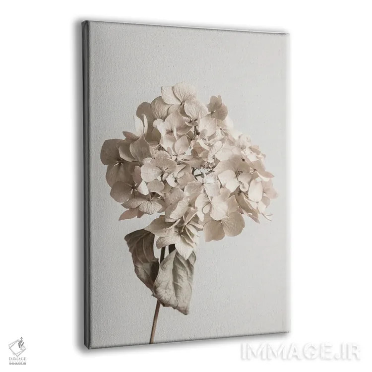 تابلو دکوراتیو گل خشک بژ اثر استودیو ۱ایکس ۳ - نمای پرسپکتیو محصول