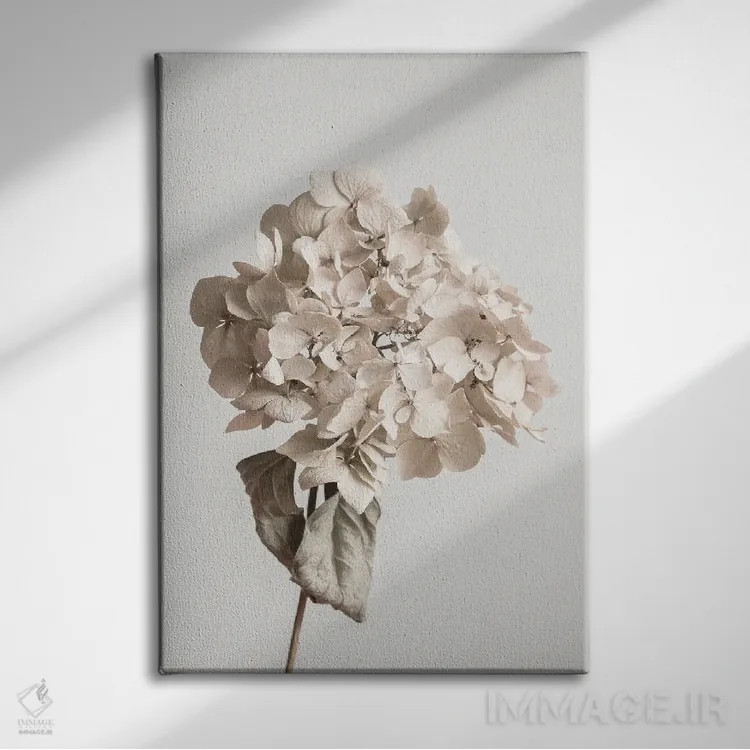 تابلو دکوراتیو گل خشک بژ اثر استودیو ۱ایکس ۳ - نمای روبهرو روی دیوار