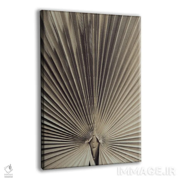 تابلو دکوراتیو برگ نخل شماره ۱ اثر استودیو ۱ایکس ۳ - نمای پرسپکتیو محصول