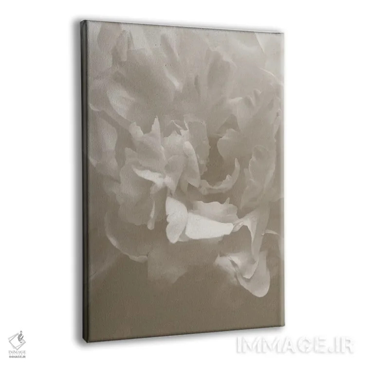 تابلو دکوراتیو پیونی شماره ۹ اثر استودیو ۱ایکس ۳ - نمای پرسپکتیو محصول