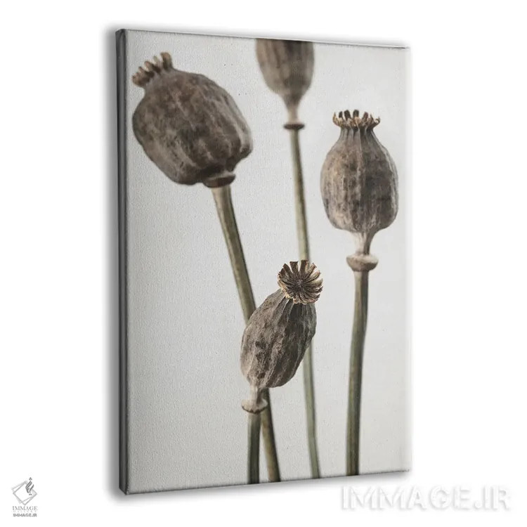 تابلو دکوراتیو خشک شماره ۶ اثر استودیو ۱ایکس ۳ - نمای پرسپکتیو محصول