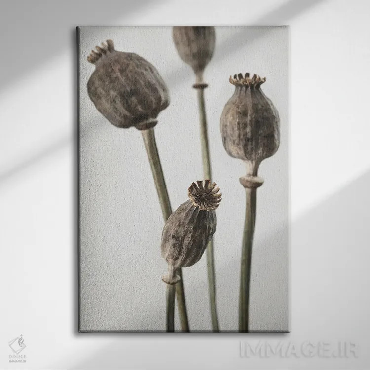 تابلو دکوراتیو خشک شماره ۶ اثر استودیو ۱ایکس ۳ - نمای روبهرو روی دیوار
