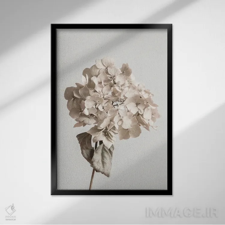 تابلو دکوراتیو گل خشک بژ اثر استودیو ۱ایکس ۳ - نمای قابدار مشکی