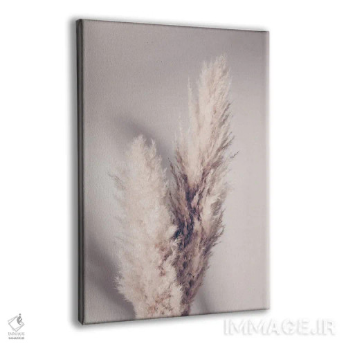 تابلو دکوراتیو علف پامپاس اثر استودیو ۱ایکس ۳ - نمای پرسپکتیو محصول