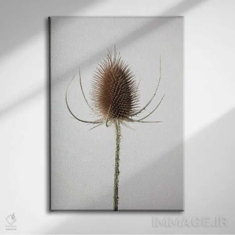 تابلو دکوراتیو خشک شماره ۴ اثر استودیو ۱ایکس ۳ - نمای روبهرو روی دیوار