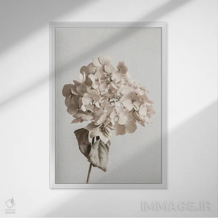 تابلو دکوراتیو گل خشک بژ اثر استودیو ۱ایکس ۳ - نمای قابدار سفید