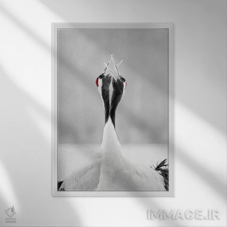 تابلو دکوراتیو سرود برای صبح اثر جی فیشر - نمای قابدار سفید