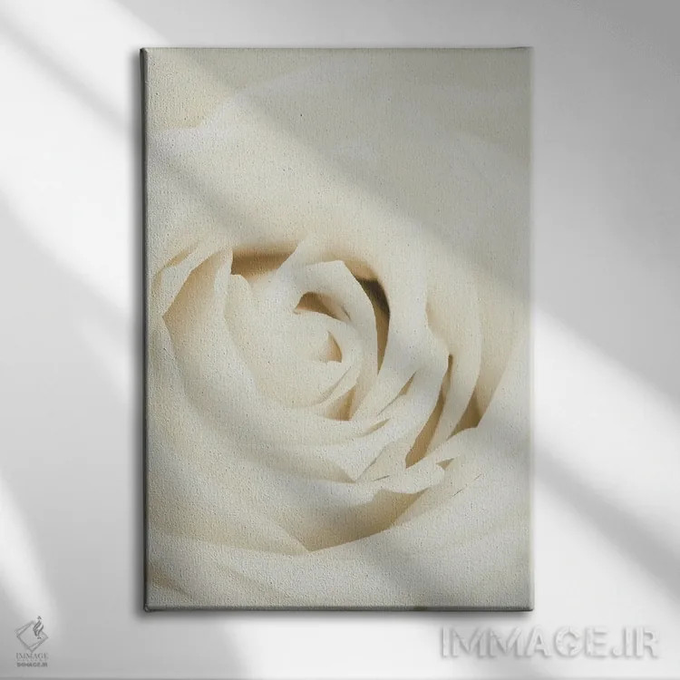 تابلو دکوراتیو گل رز سفید اثر استودیو ۱ایکس ۳ - نمای روبهرو روی دیوار
