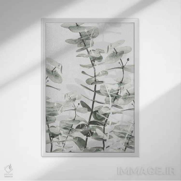 تابلو دکوراتیو اکالیپتوس شماره ۱ اثر استودیو ۱ایکس ۳ - نمای قابدار سفید