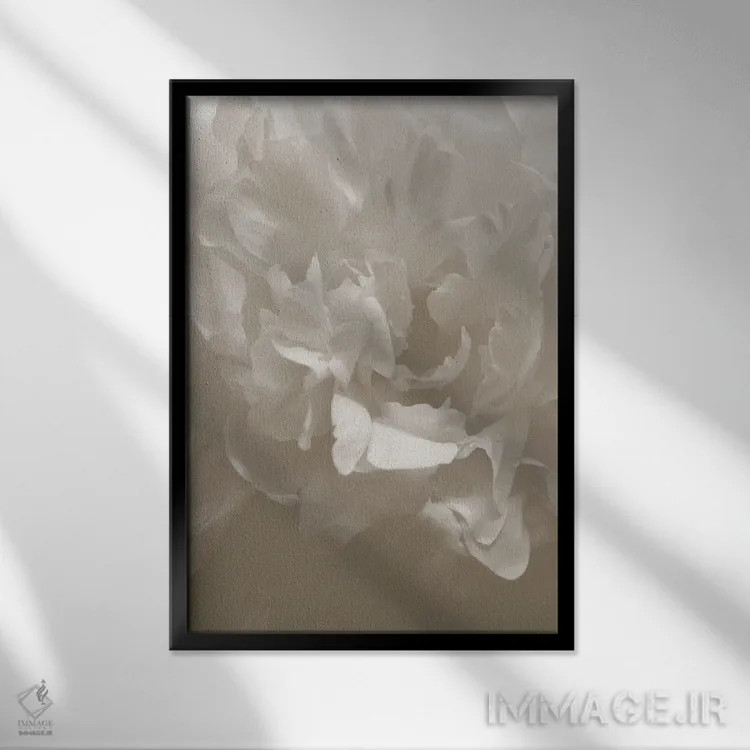 تابلو دکوراتیو پیونی شماره ۹ اثر استودیو ۱ایکس ۳ - نمای قابدار مشکی