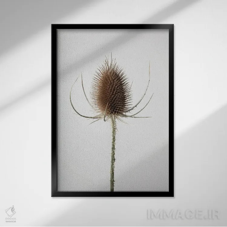 تابلو دکوراتیو خشک شماره ۴ اثر استودیو ۱ایکس ۳ - نمای قابدار مشکی