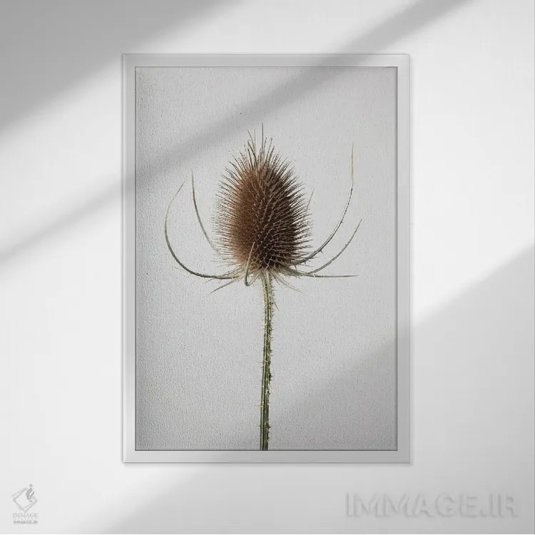 تابلو دکوراتیو خشک شماره ۴ اثر استودیو ۱ایکس ۳ - نمای قابدار سفید