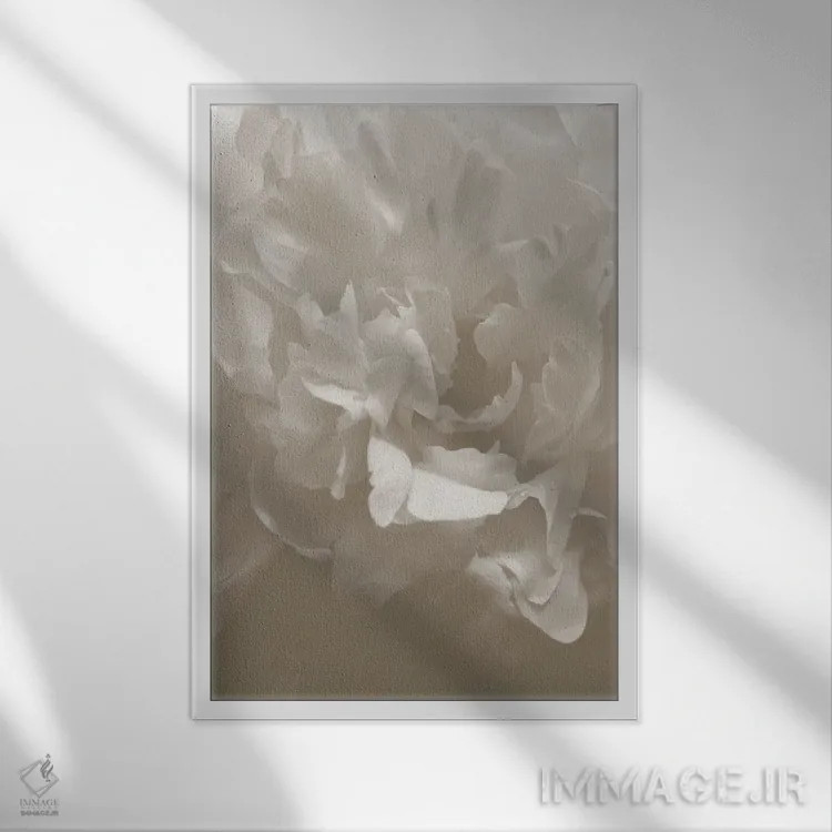 تابلو دکوراتیو پیونی شماره ۹ اثر استودیو ۱ایکس ۳ - نمای قابدار سفید