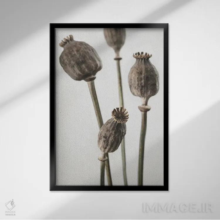 تابلو دکوراتیو خشک شماره ۶ اثر استودیو ۱ایکس ۳ - نمای قابدار مشکی