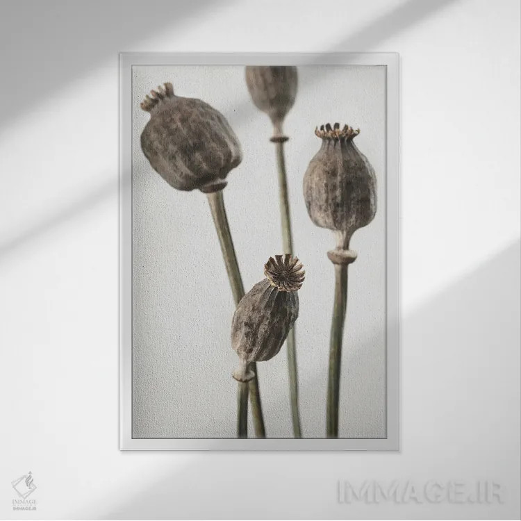 تابلو دکوراتیو خشک شماره ۶ اثر استودیو ۱ایکس ۳ - نمای قابدار سفید