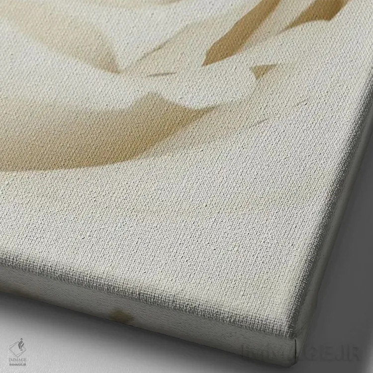 تابلو دکوراتیو گل رز سفید اثر استودیو ۱ایکس ۳ - نمای نزدیک بافت بوم