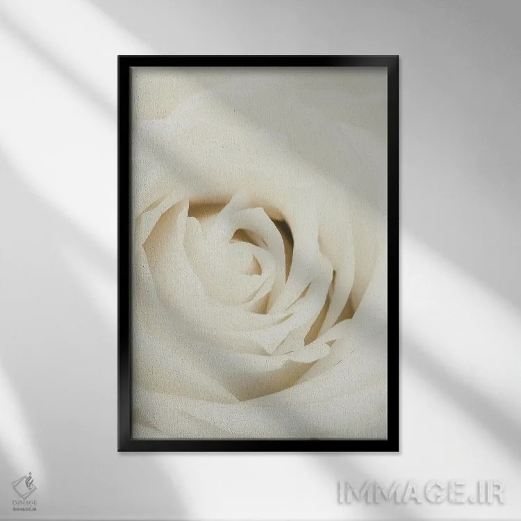 تابلو دکوراتیو گل رز سفید اثر استودیو ۱ایکس ۳ - نمای قابدار مشکی