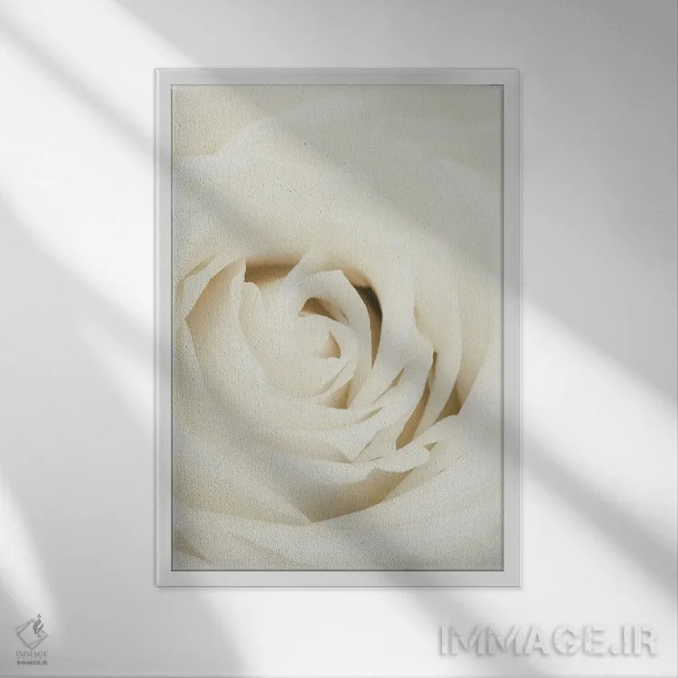 تابلو دکوراتیو گل رز سفید اثر استودیو ۱ایکس ۳ - نمای قابدار سفید
