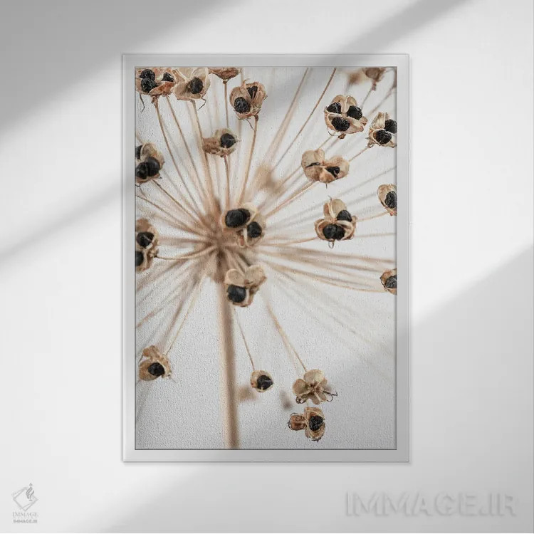 تابلو دکوراتیو خشک شماره ۷ اثر استودیو ۱ایکس ۳ - نمای قابدار سفید