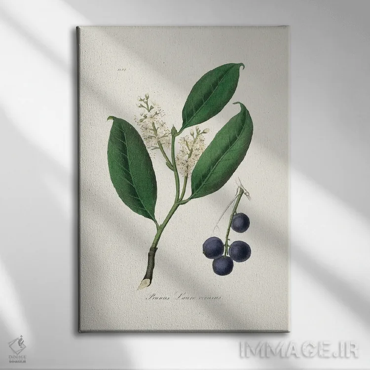 تابلو دکوراتیو مرمکی گیلاس طب گیاهی اثر جان استیونسون - نمای روبهرو روی دیوار