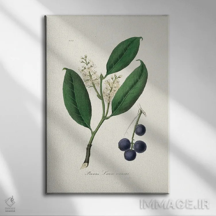 تابلو دکوراتیو مرمکی گیلاس طب گیاهی اثر جان استیونسون - نمای روبهرو روی دیوار