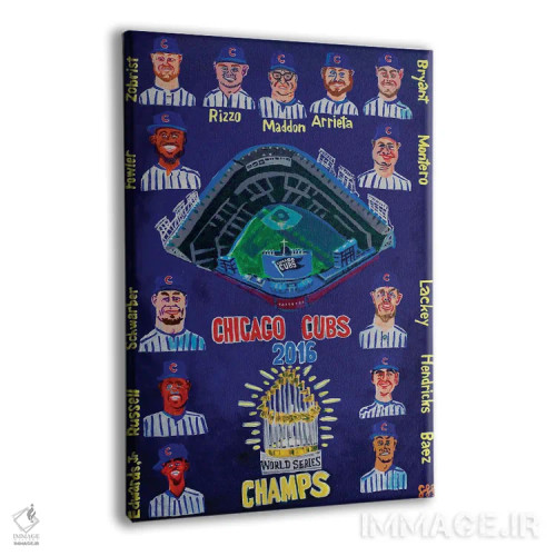 تابلو دکوراتیو کابز ۲۰۱۶ اثر استیو اسپنسر - نمای پرسپکتیو محصول