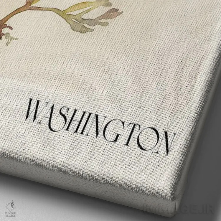 تابلو مینیمال مجموعه چاپ آبرنگ. بازار گل اثر ان کی تی ان - نمای نزدیک بافت بوم