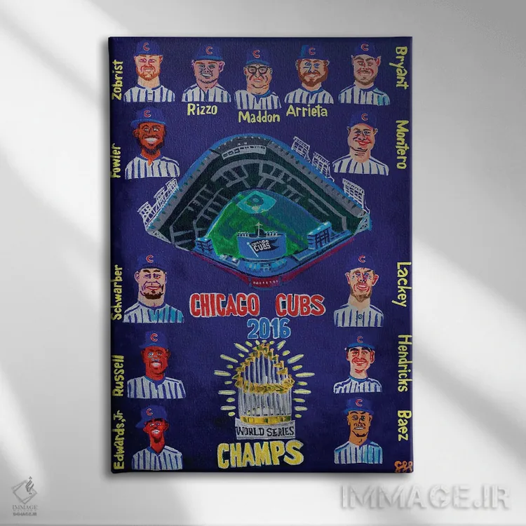 تابلو دکوراتیو کابز ۲۰۱۶ اثر استیو اسپنسر - نمای روبهرو روی دیوار