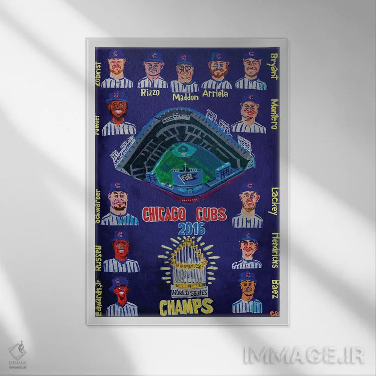 تابلو دکوراتیو کابز ۲۰۱۶ اثر استیو اسپنسر - نمای قابدار سفید