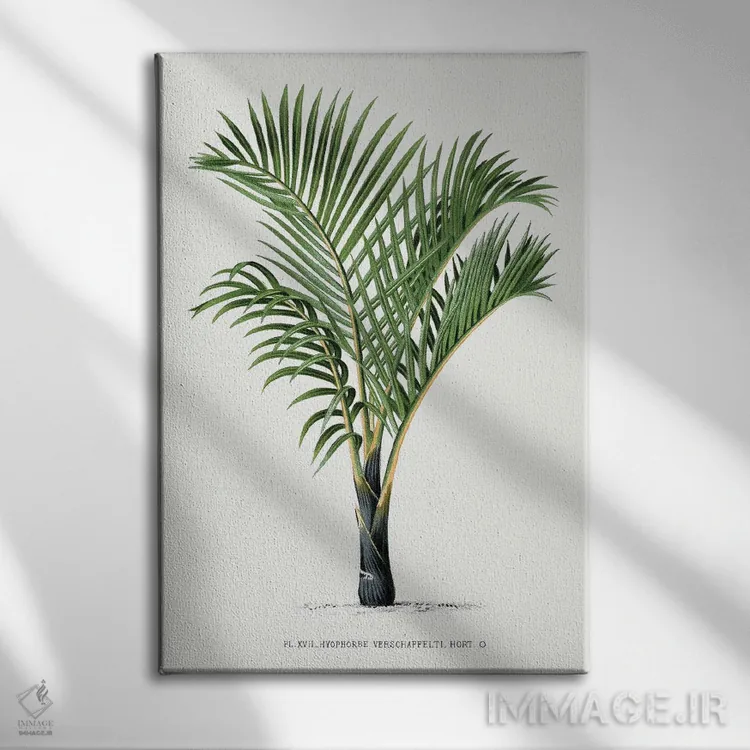 تابلو مینیمال ۱۷ هایوفورب وی اثر له پالمیه ایستوار - نمای روبهرو روی دیوار