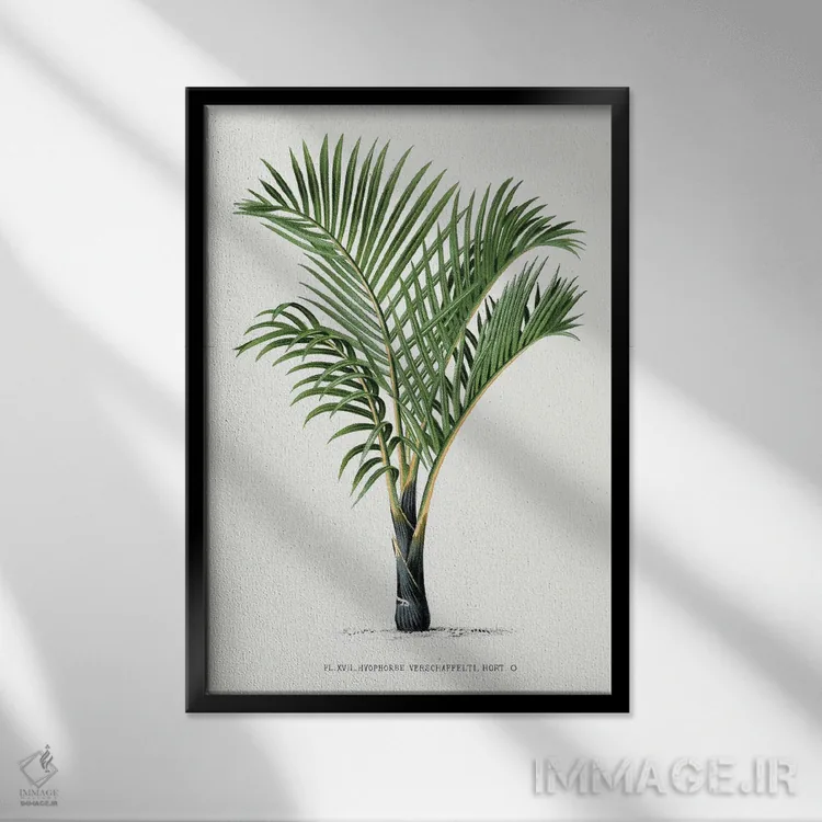 تابلو مینیمال ۱۷ هایوفورب وی اثر له پالمیه ایستوار - نمای قابدار مشکی