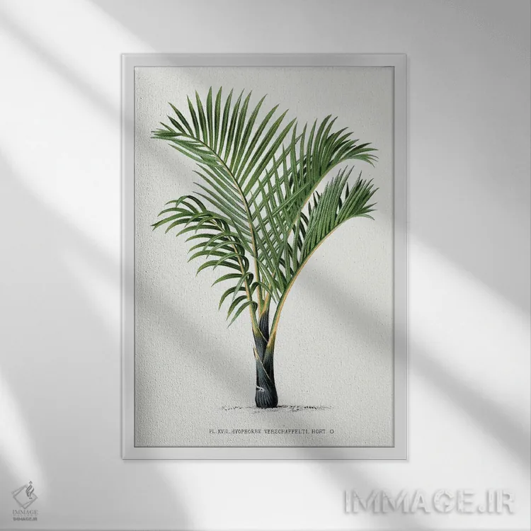 تابلو مینیمال ۱۷ هایوفورب وی اثر له پالمیه ایستوار - نمای قابدار سفید