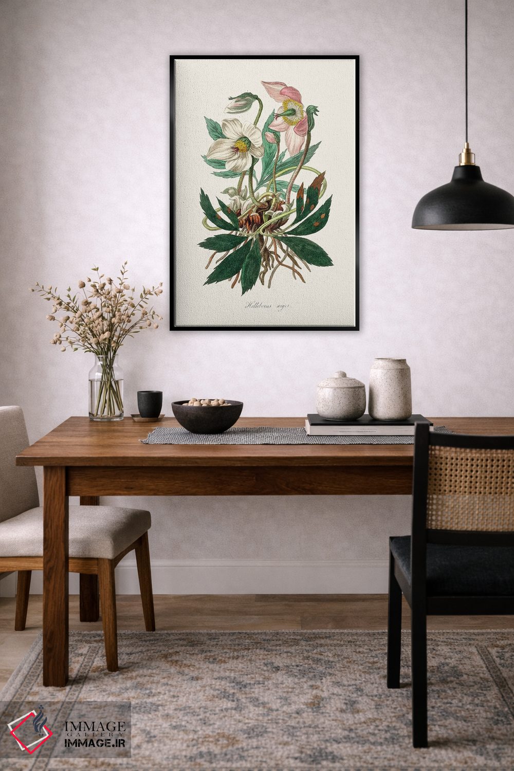 تابلو مدرن گل کریسمس ، گیاه شناسی پزشکی اثر جان استیونسون - D5B