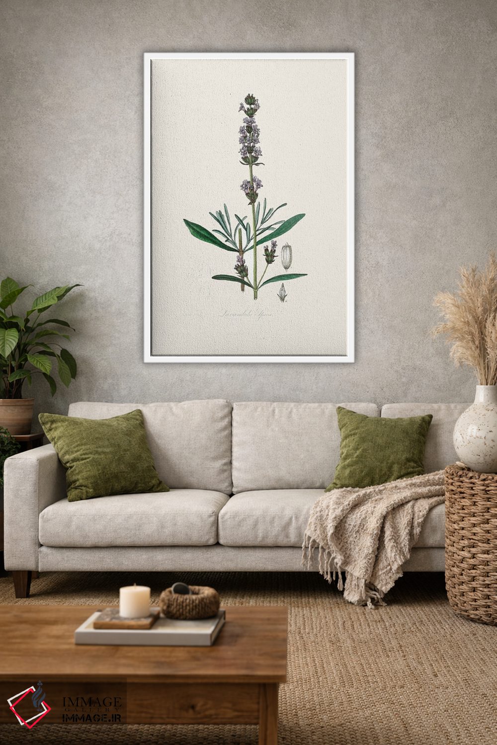تابلو مدرن اسطوخودوس ، گیاه شناسی پزشکی اثر جان استیونسون - D1W