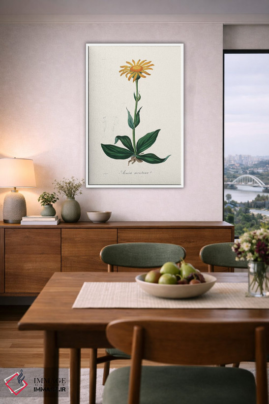 تابلو مدرن آرنیکای کوهستانی ، گیاه شناسی پزشکی اثر جان استیونسون - D5W