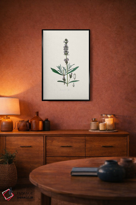 تابلو مدرن اسطوخودوس ، گیاه شناسی پزشکی اثر جان استیونسون - D5B