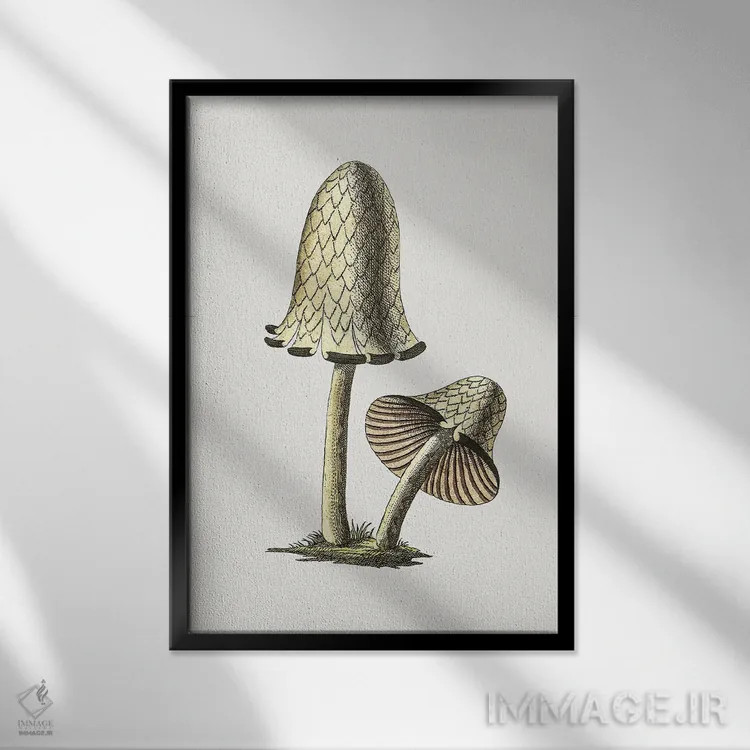 تابلو مینیمال قارچ جوهری خوراکی کلاسیک اثر کتابخانه میراث تنوع زیستی - نمای قابدار مشکی