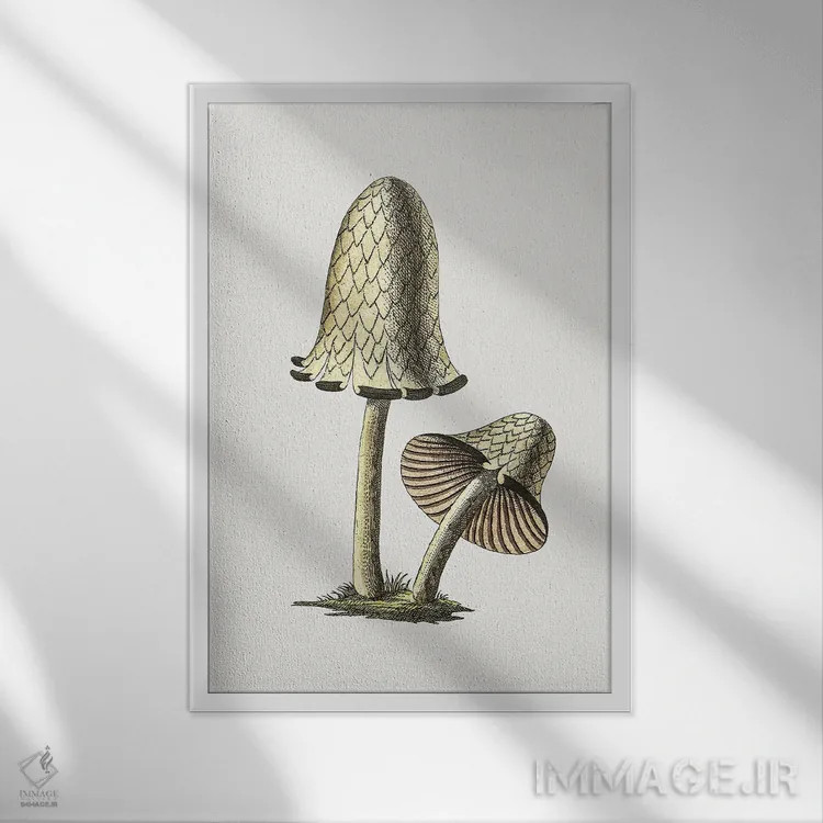 تابلو مینیمال قارچ جوهری خوراکی کلاسیک اثر کتابخانه میراث تنوع زیستی - نمای قابدار سفید